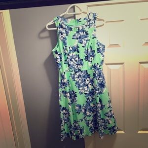 J Crew dress.